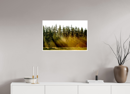 75 x 50 cm, Hahnemühle FineArt Baryta (print only) 1 cm white border Nature's Cathedral