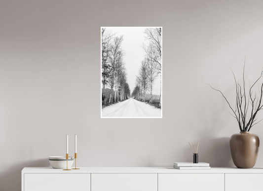 50 x 75 cm, Hahnemühle FineArt Baryta (print only) 1 cm white border Birch Alley Hagfors Sweden