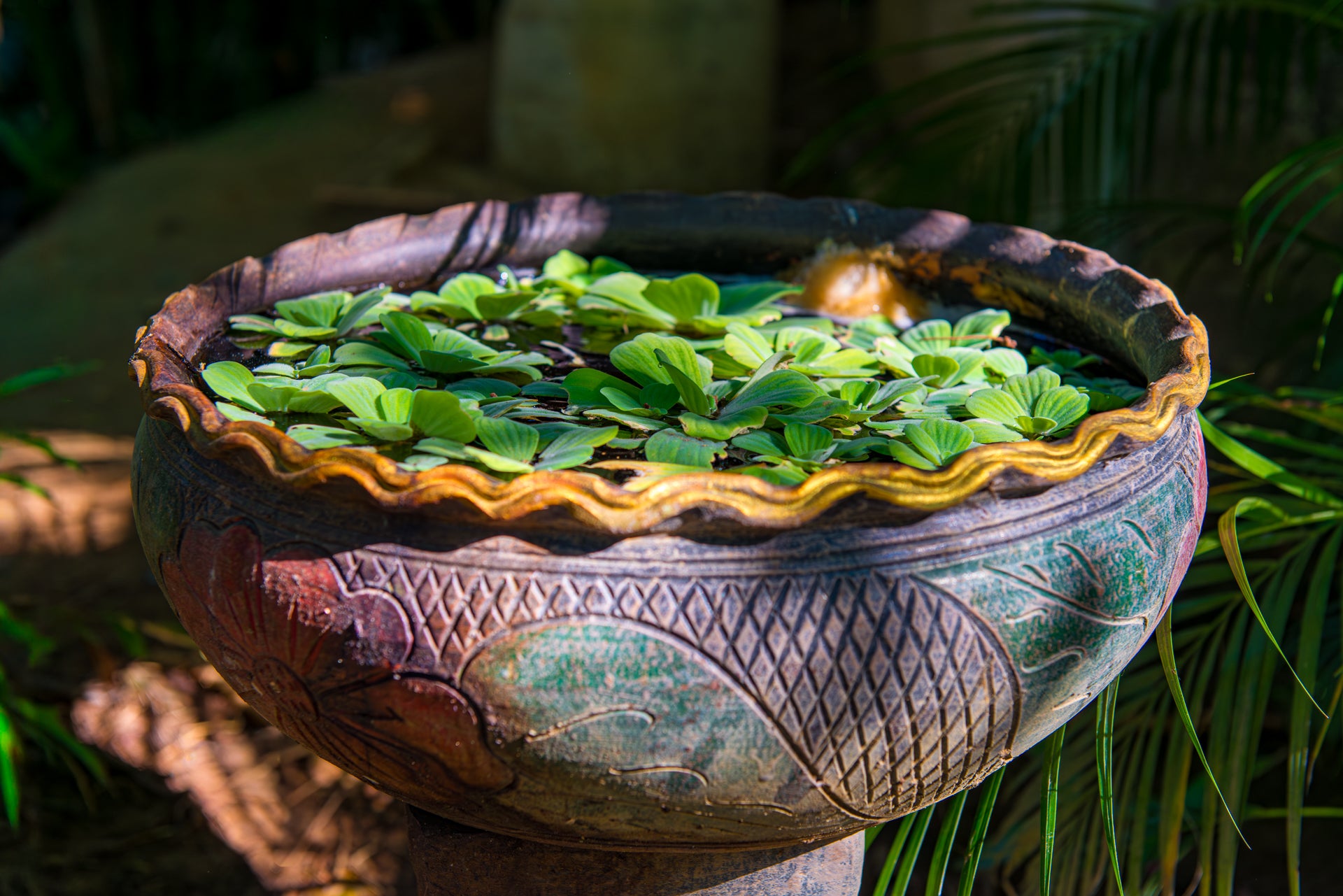 Main image Verdant vessel